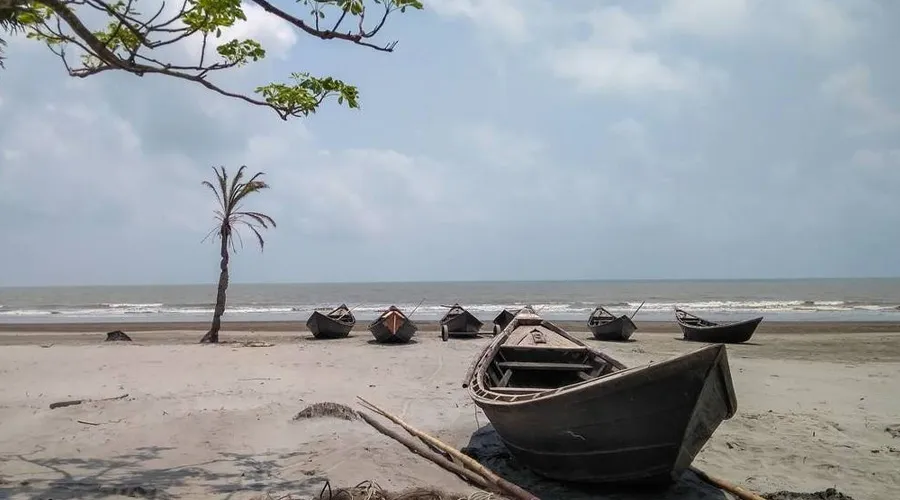 কুয়াকাটায় নিখোঁজ ৫ জেলে ৮ দিন পর ফিরে এসেছেন