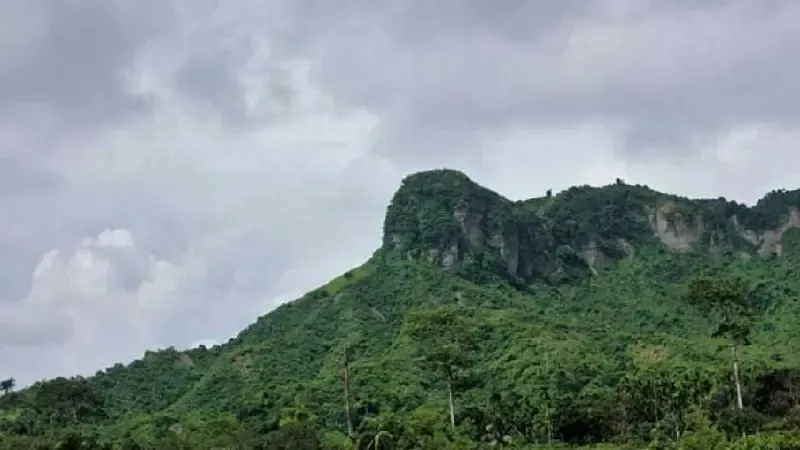 টেকনাফের পাহাড়ি জনপদে নিরাপত্তা সংকট, জীবন-জীবিকা অচল