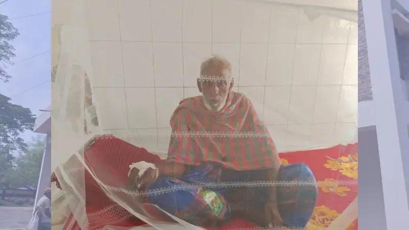 জীবননগরে আশঙ্কাজনক হারে বাড়ছে ডেঙ্গু রোগীর সংখ্যা
