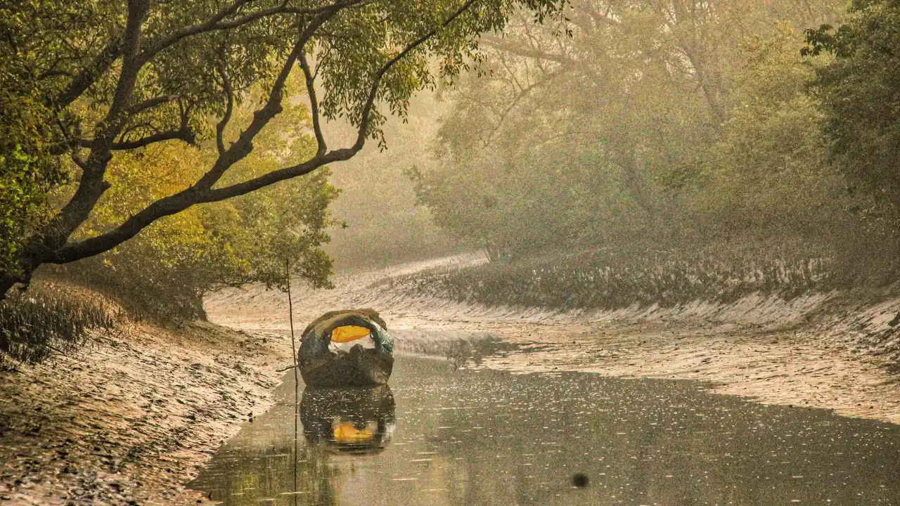 সুন্দরবনে ভ্রমণে বিদেশি নারী পর্যটকের মৃত্যু