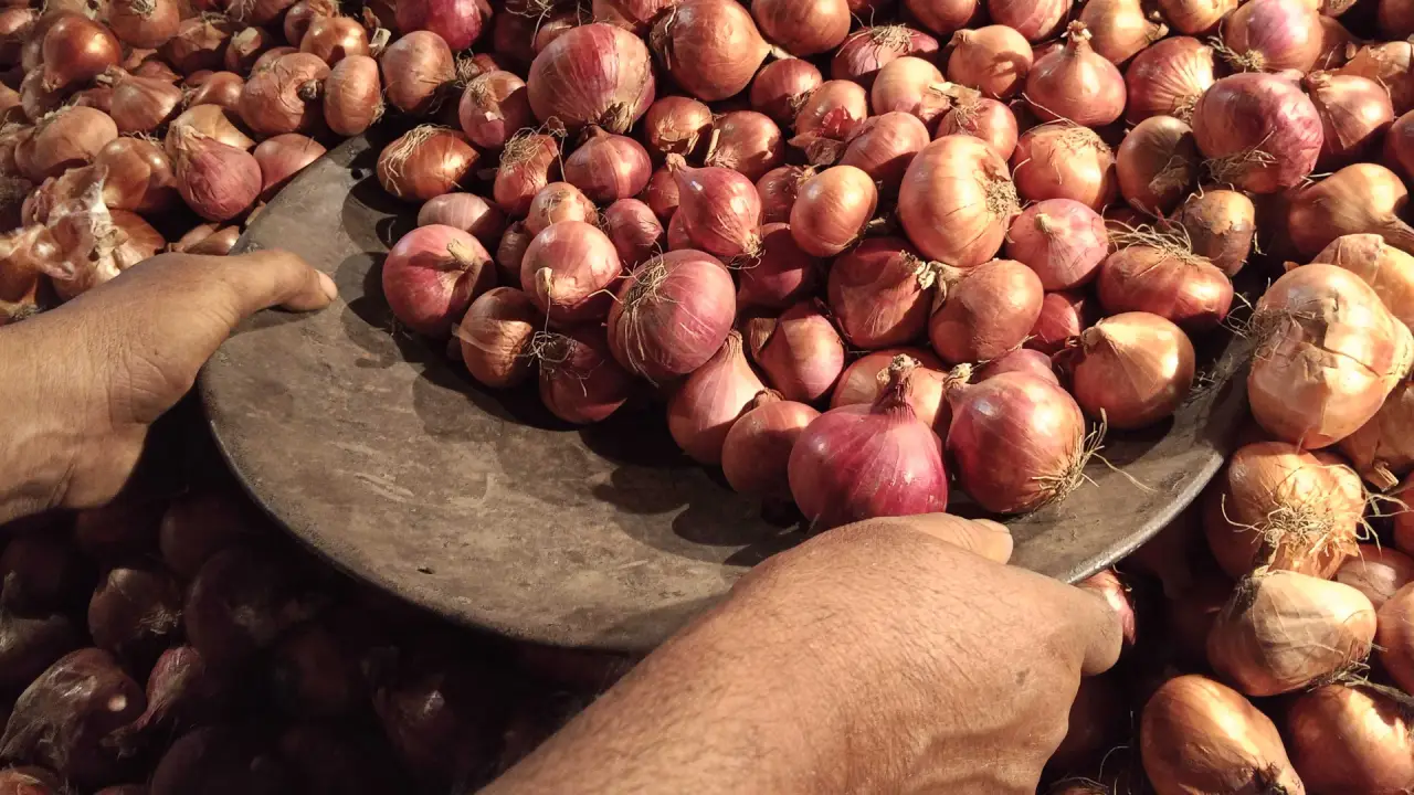 পেঁয়াজের দাম কেজিতে ৩০ টাকা বেড়েছে