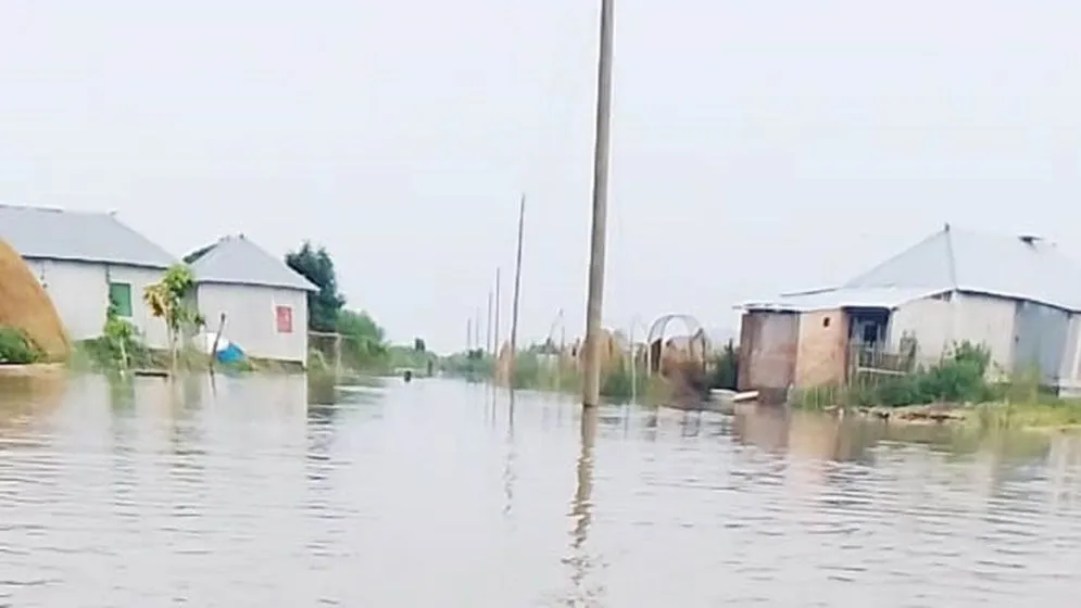আবারো বেড়েছে পদ্মার পানি, বিপাকে ১৫ চরের মানুষ