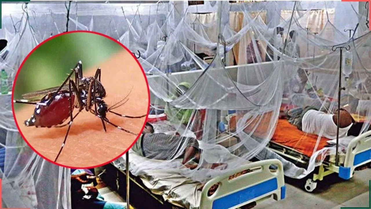 গত ২৪ ঘণ্টায় ডেঙ্গুতে হাসপাতালে ভর্তি ৭৯২ জন