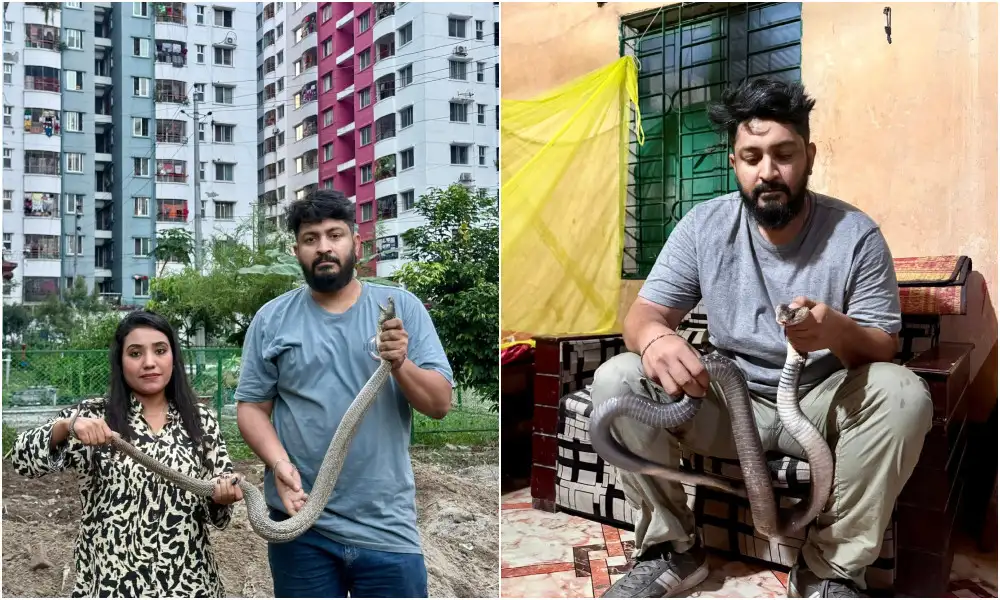 রাজধানীর বাসাবাড়িতে সাপের হানা, সাড়ে ৩ মাসে উদ্ধার ৩২১টি