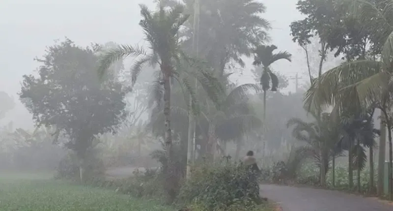 দেশের ১৫ অঞ্চলের ওপর দিয়ে মৃদু শৈত্যপ্রবাহ বয়ে যাচ্ছে
