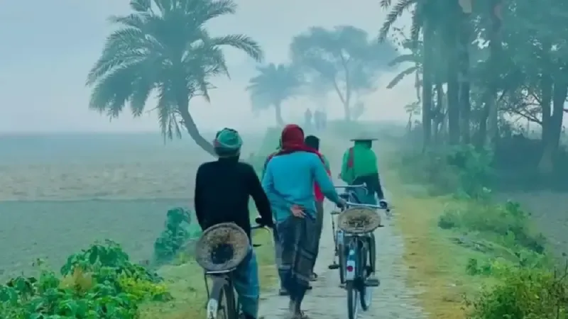 তেঁতুলিয়ায় দুই দিন ধরে শীতের তীব্রতা, সর্বনিম্ন তাপমাত্রা রেকর্ড