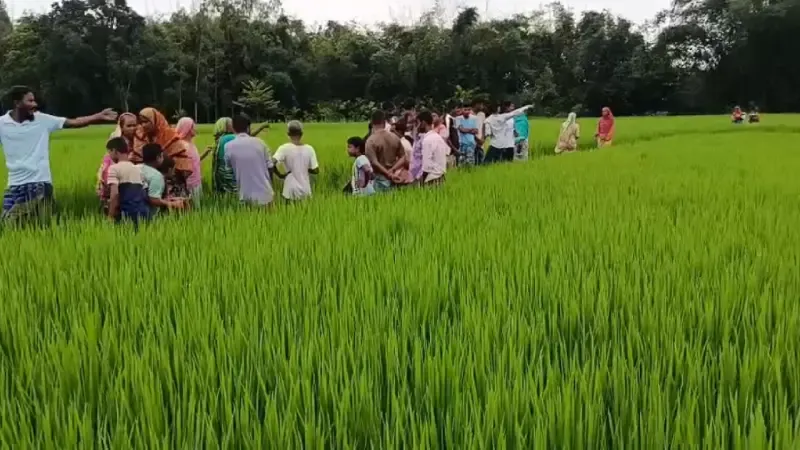 দেবীগঞ্জে কৃষিজমির পাশ থেকে নারীর মরদেহ উদ্ধার