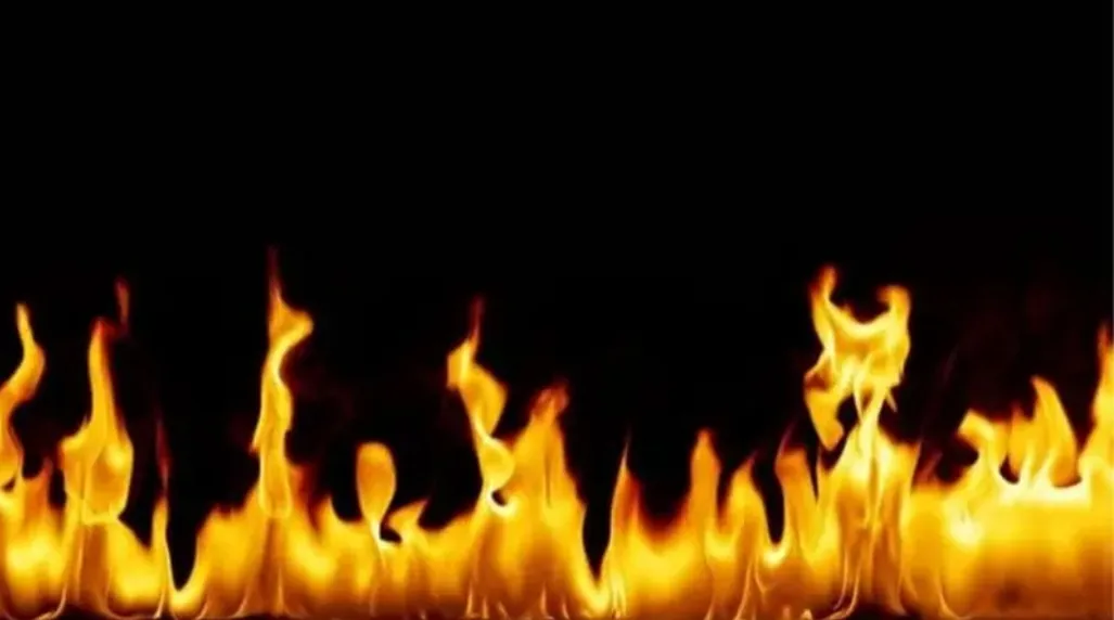 স্ত্রী-সন্তানসহ ছয়জনকে পুড়িয়ে, নিহত দুই